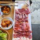 황금 소두마리