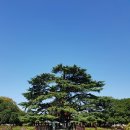 서안기공