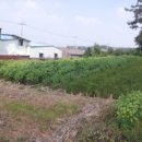 서구-02-70 이미지