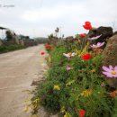 우도사랑민박 이미지