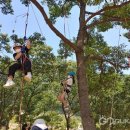 상산초등학교 이미지