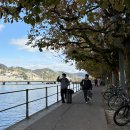 상일할인마트 | 🇨🇭10월 스위스 여행