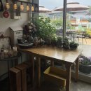 덕양사 | 인천 수산동 숨은 맛집 바오밥 카페&amp;키친 내돈내산 후기