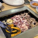 명인막국수 | 충정로역 맛집 명인강메밀 푸른초장 오리고기 막국수 후기