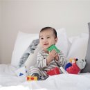 라포즈 이미지