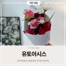 광서유치원 | 부천 꽃집 유토아시스, 꽃들의 컨디션이 좋아 선물하기 좋은 부천시청 꽃집