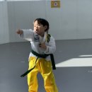 한양태권도 | 2월의 기적: 땀방울로 피어난 MTA 라이온즈 태권도 정기 승급 심사 현장