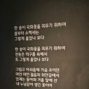 고창 선운사 미디어아트 관람후기 고창 가볼만한곳