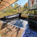 진관유치원 이미지