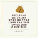 멍멍이 미장원 이미지