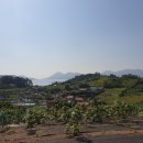 소경도경로당 이미지