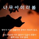 명호만 집지하면 금생에 삼불퇴(위불퇴位不退･행불퇴行不退• 염불퇴念不退)를 원만히 할 수 있다 이미지