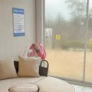 서담미가 | 제주도풀빌라 가족 독채펜션 아기랑 온수풀 협재 서담미가 후기