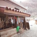 서정환경 Daum카페