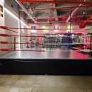 마루복싱 이미지