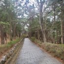 선성군 묘역 및 석물 | 천년 신라의 숨결을 걷다 - 신라의 위대한 장군 김유신의 묘를 찾다