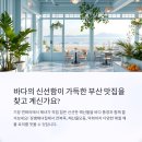 집의모든것