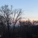 식장산 | 2026년 대전 식장산 해돋이 다녀온 후기(절망편) / 가는 법 / 등산알못의 생생후기..