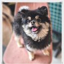 아이조아 요양보호소 서울점 이미지