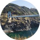 숲속의 섬 | 🌊 ‘섬 속의 섬’ 울릉도 여행 후기 💙