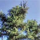 나무와창 이미지