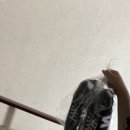 육천세탁 이미지