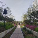 소담동_새샘마을 1단지 정류장 이미지