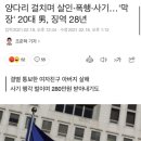 양다리 걸치며 살인·폭행·사기…'막장' 20대 男, 징역 28년 이미지