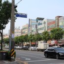 가로수 한국NGO신문
