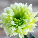 봉선체육공원2 이미지