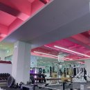 웨이트랩 | 여성전용 피트니스 웨이트랩에서 체형분석 받은 후기!