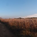 코리아 게임장 이미지