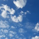 서현네트웍스 이미지