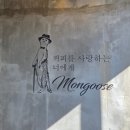 몽구스뷰티샵