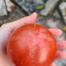 참판댁 민박 이미지