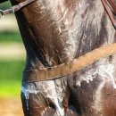 아이펫동물병원 이미지