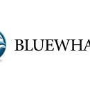 블루웨일 이미지