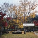 충식농장 이미지