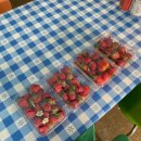 부창농장 이미지