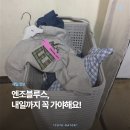 세일공업주식회사 | 엔조블루스 매장 가라지 세일 내일까지!｜5천원 균일가·최대 80% 할인 정보