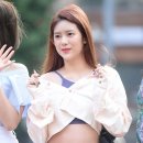 데이지 뮤직 이미지