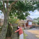 로그맨 하우스 이미지