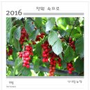 2016년 9월 달력(산내들 농장) 이미지