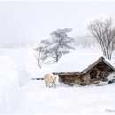 동화나라 이미지