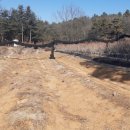 전원부동산중개인사무소 이미지