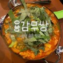 용감무쌍 | [송탄 술집] 용감무쌍 Soju&amp;beer | 순살 닭도리탕 + 뚝백이 콘치즈소세지 + 아이스크림 솔직후기