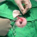 남양주동물병원 이미지