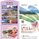 들꽃필무렵 네이버블로그