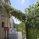 바우바우애견펜션 이미지