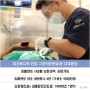 내원백운 이미지